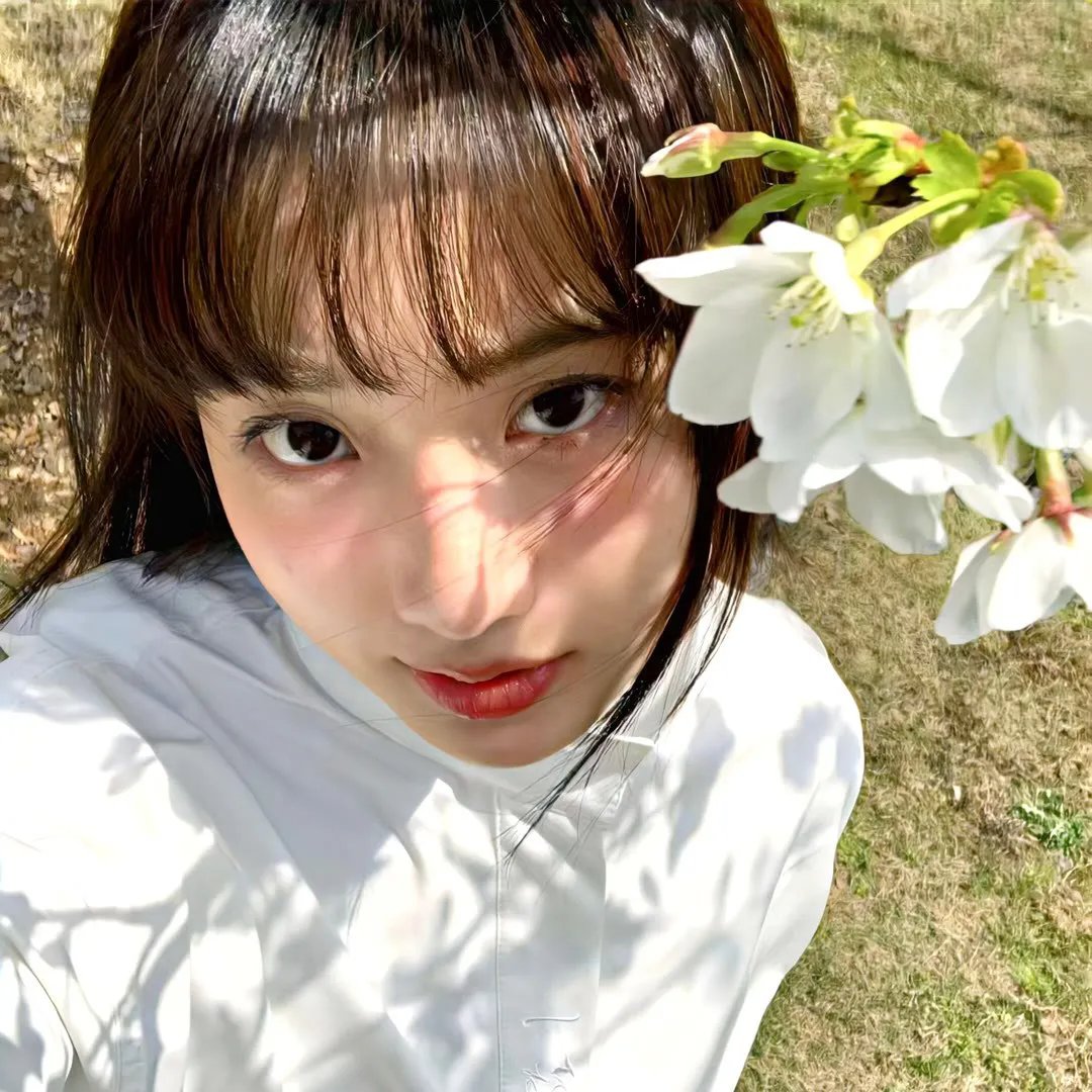 扫毒